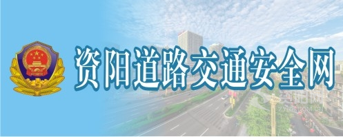 黄片操穴资阳道路交通安全网