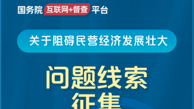 阴插穴色视频国务院“互联网+督查”平台公开征集阻碍民营经济发展壮大问题线索